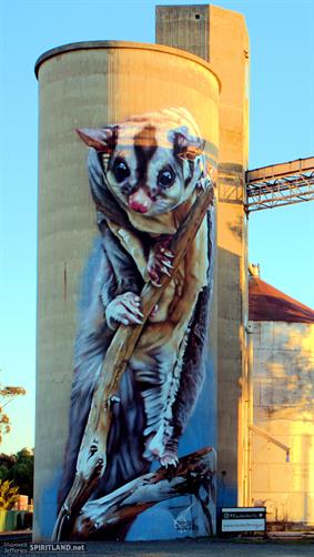 Silo Art, Rochester, VIC. 